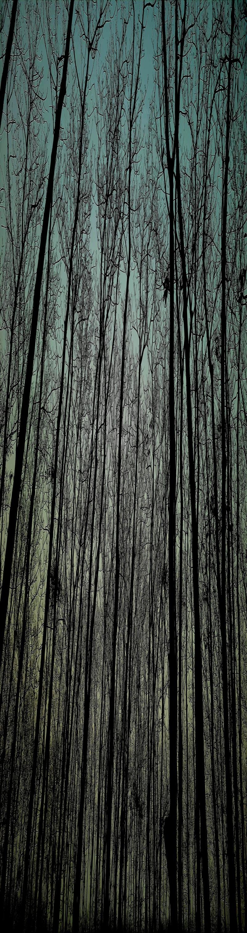 Web Design & Development